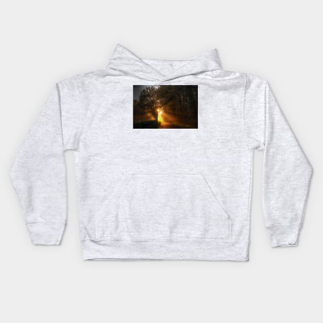 Shafts of Sunlight Kids Hoodie by Nigdaw